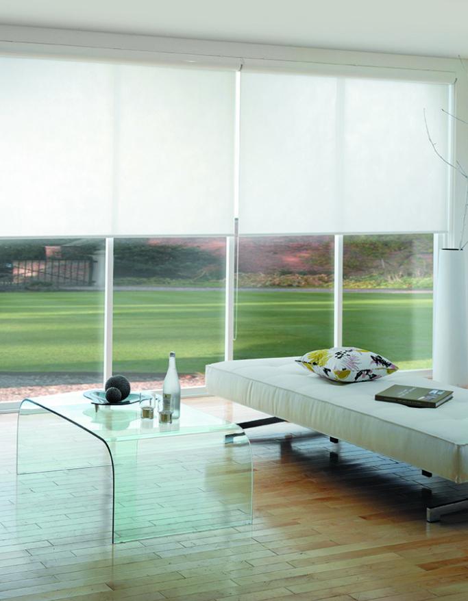 white light filter roller blinds in contemporary lounge room