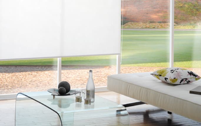white dual roller blinds in modern lounge room
